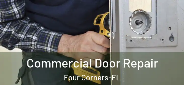  Commercial Door Repair Four Corners-FL