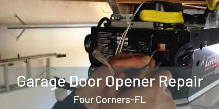 Garage Door Opener Repair Four Corners-FL