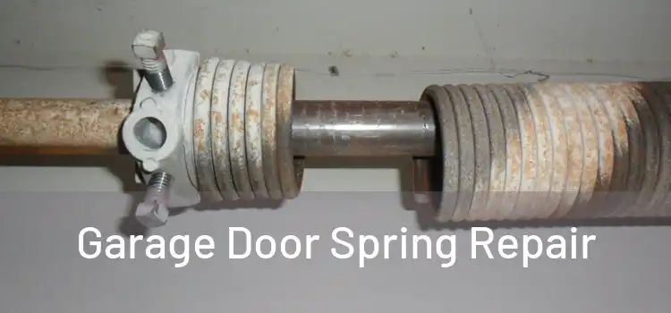 Garage Door Spring Repair 