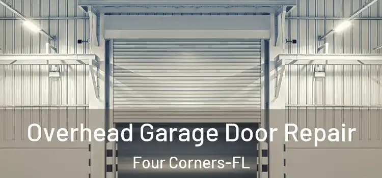  Overhead Garage Door Repair Four Corners-FL
