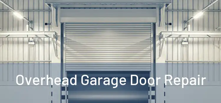  Overhead Garage Door Repair 